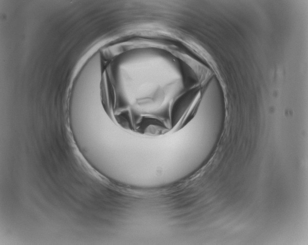 X0000081491392200702021912