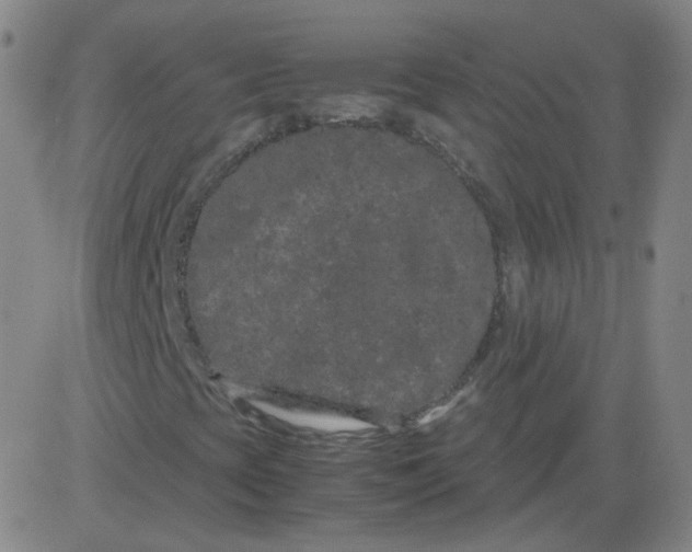 X0000081491393200702021911