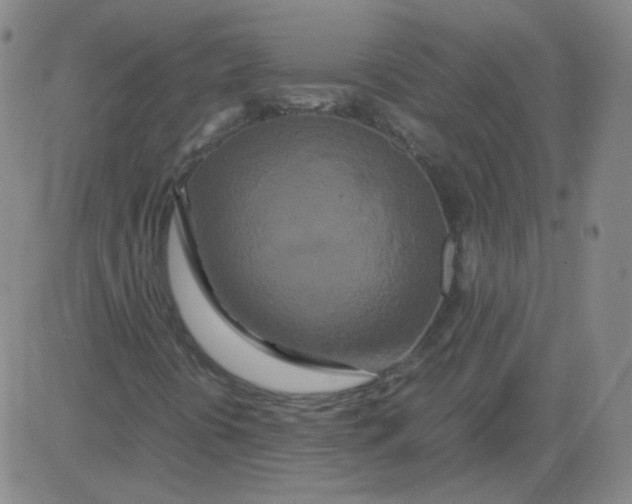 X0000081491394200702021911