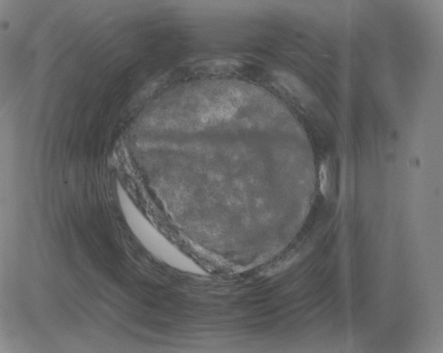 X0000081491395200702021911