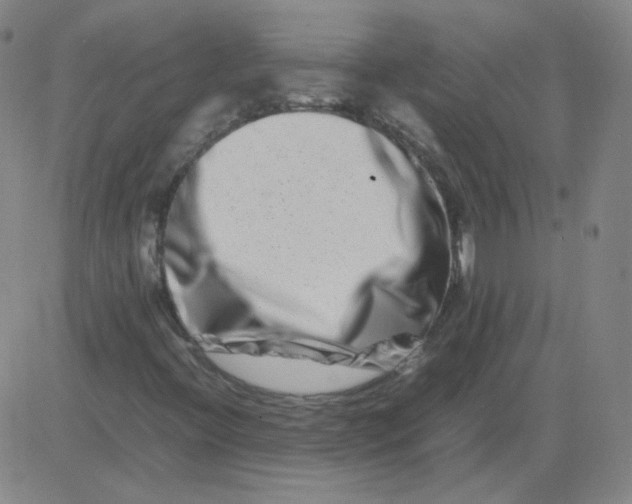 X0000081491396200702021911