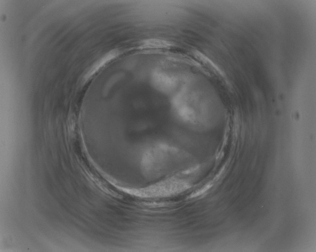 X0000081491401200702021911