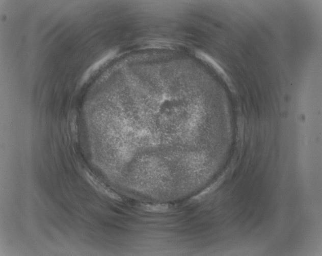 X0000081491403200702021911