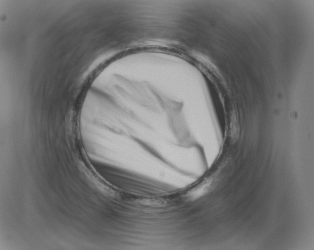 X0000081491404200702021911