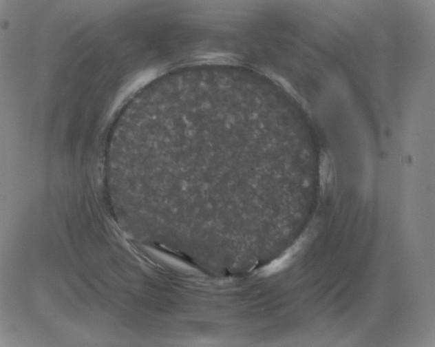 X0000081491405200702021911