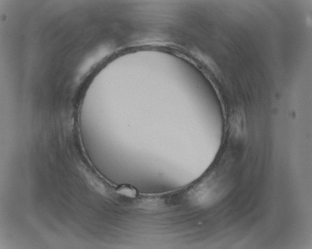 X0000081491406200702021911