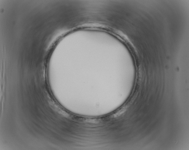 X0000081491408200702021911