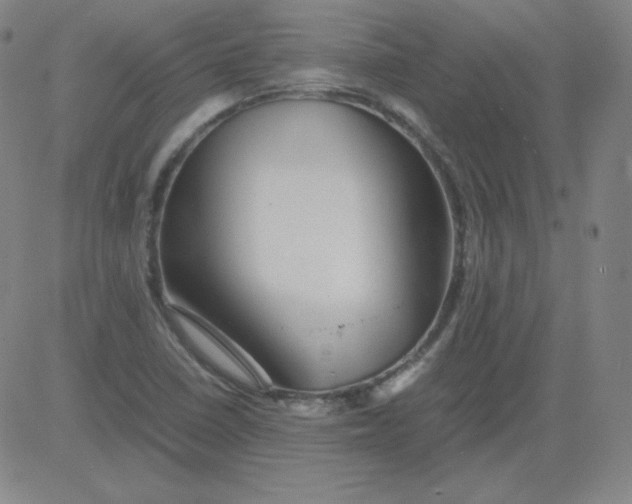 X0000081491410200702021911