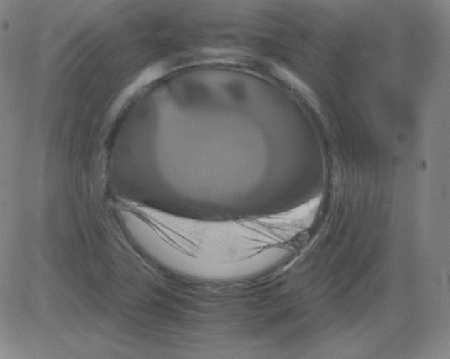 X0000081491411200702021911