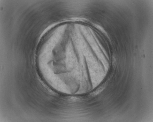 X0000081491412200702021911