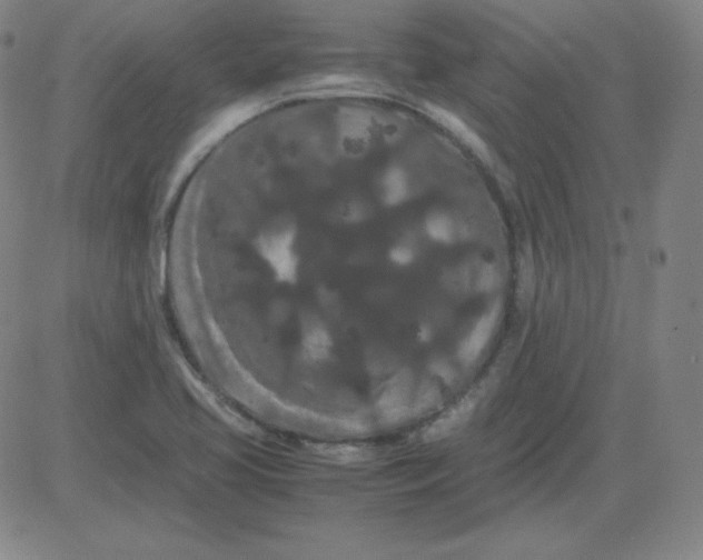 X0000081491413200702021911