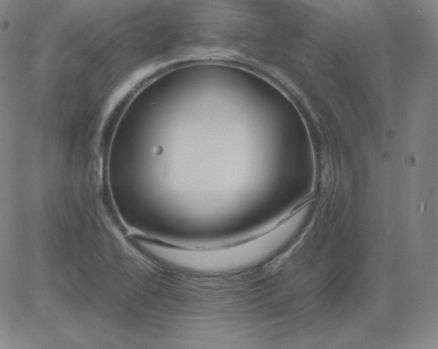 X0000081491414200702021911