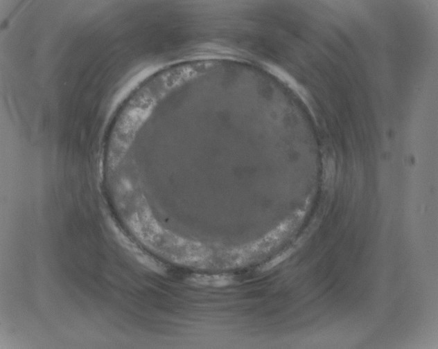 X0000081491415200702021911