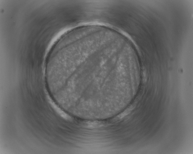 X0000081491416200702021911