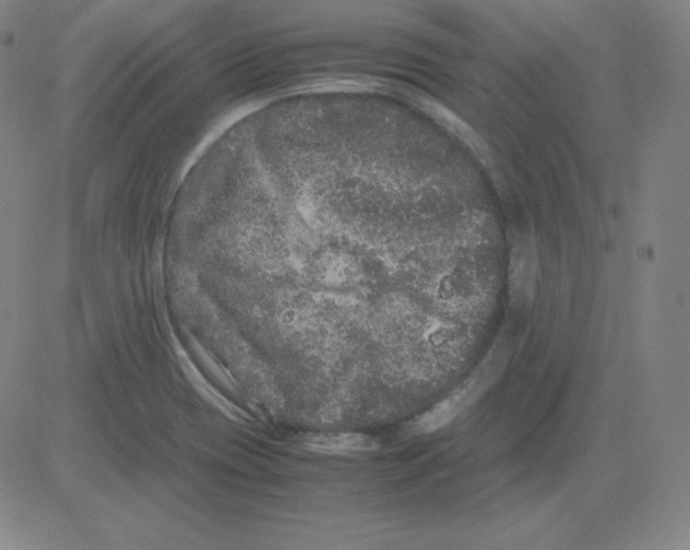 X0000081491417200702021911