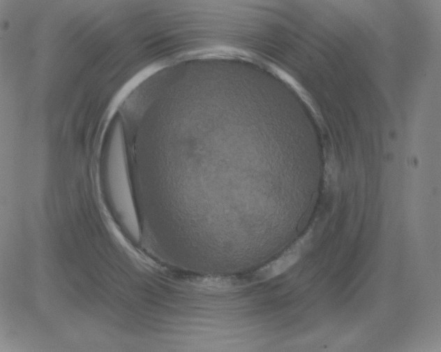 X0000081491418200702021911