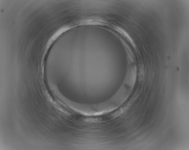 X0000081491419200702021911