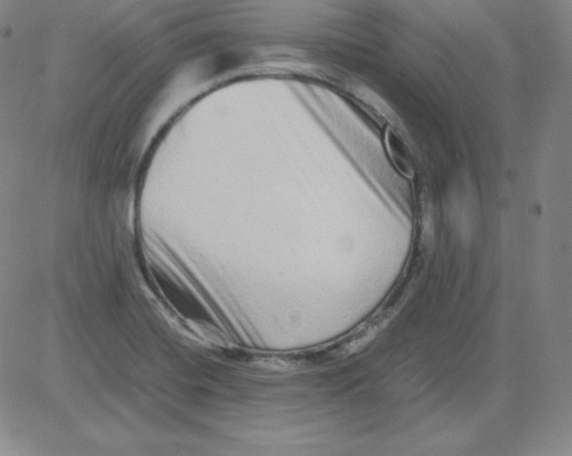 X0000081491420200702021911