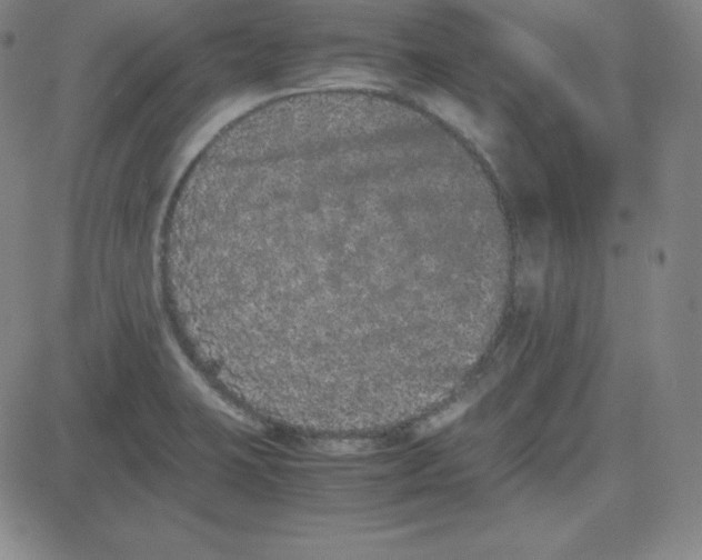 X0000081491423200702021911