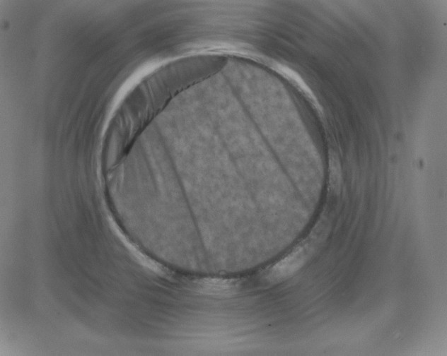 X0000081491424200702021911