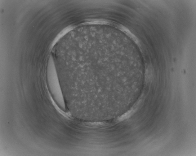 X0000081491425200702021911