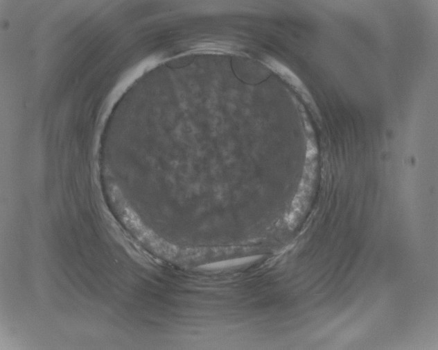 X0000081491427200702021911