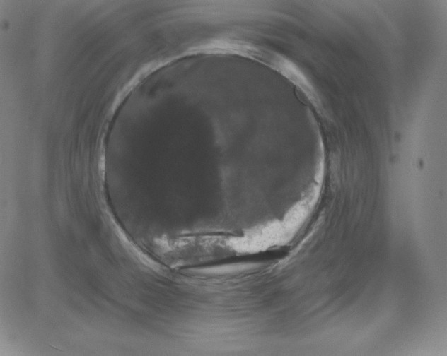 X0000081491428200702021911