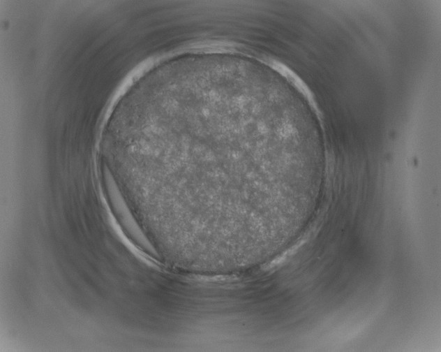 X0000081491429200702021911