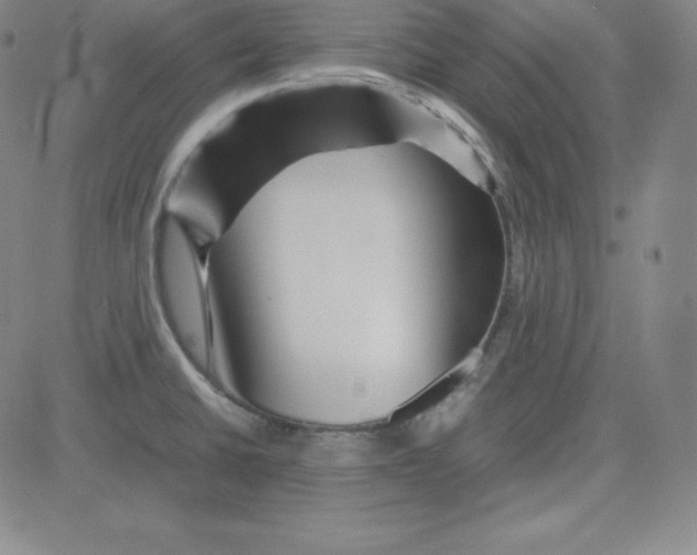 X0000081491430200702021911