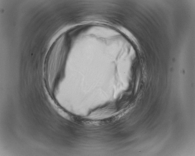 X0000081491431200702021911