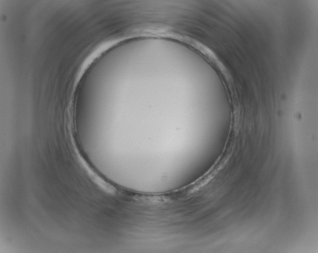 X0000081491432200702021912