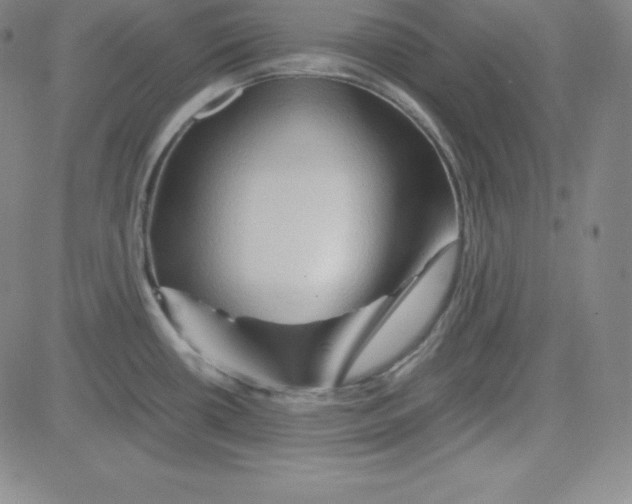 X0000081491434200702021912