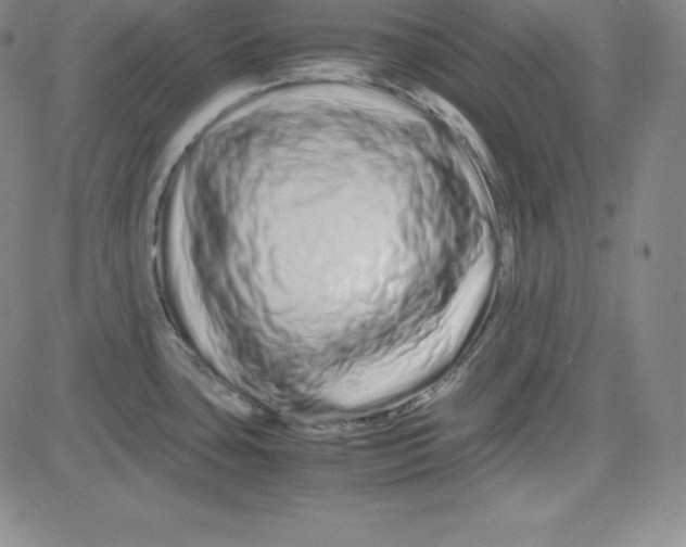 X0000081491435200702021912