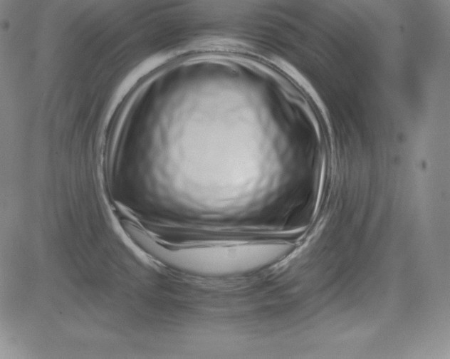 X0000081491437200702021912