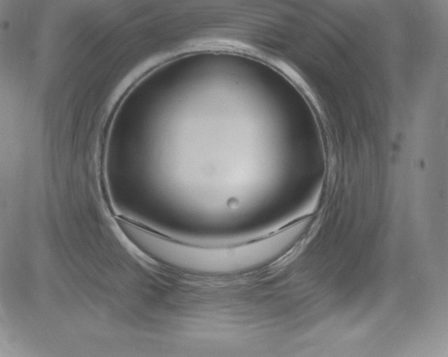 X0000081491438200702021912