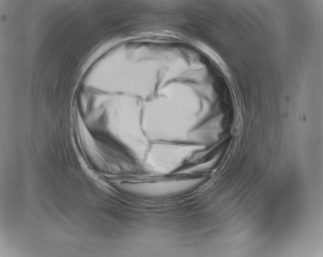 X0000081491439200702021912