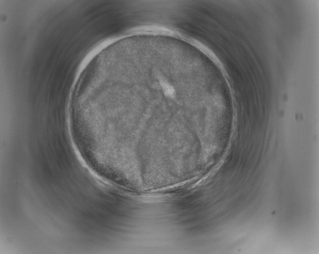 X0000081491440200702021912