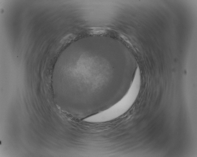 X0000081491441200702021911