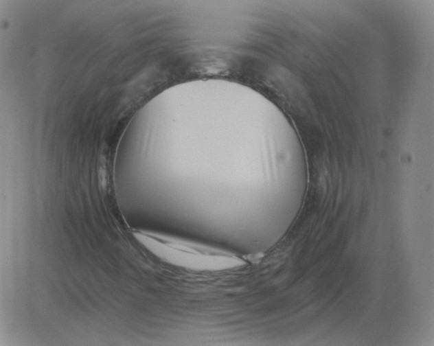 X0000081491442200702021911