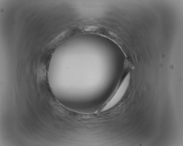 X0000081491443200702021911