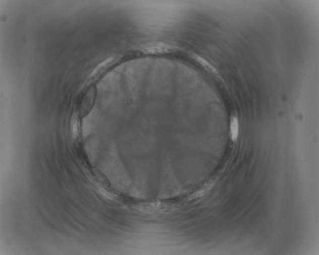 X0000081491444200702021911