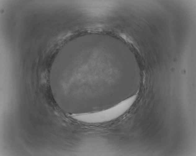 X0000081491445200702021911