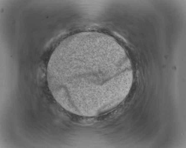 X0000081491447200702021911