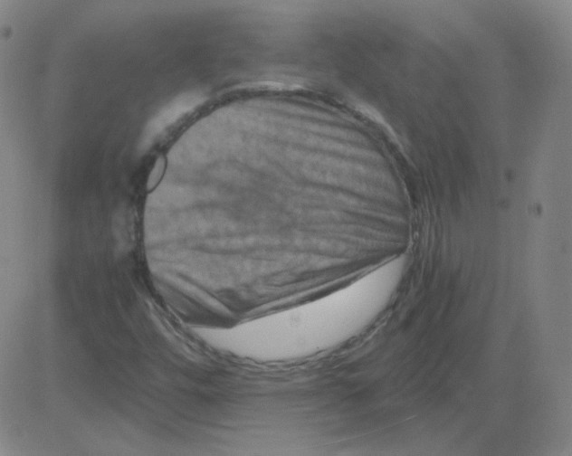 X0000081491448200702021911