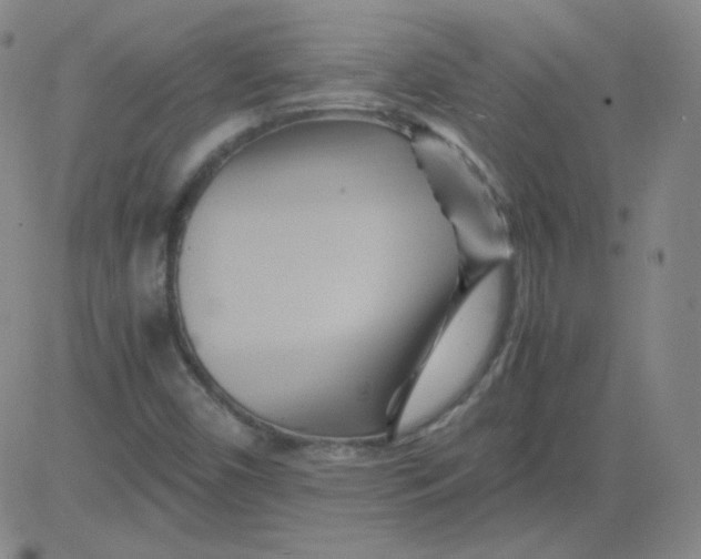 X0000081491450200702021911