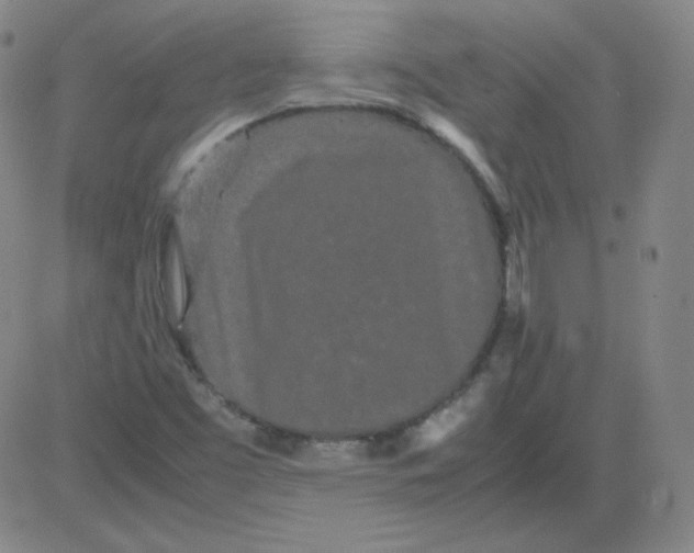 X0000081491453200702021911