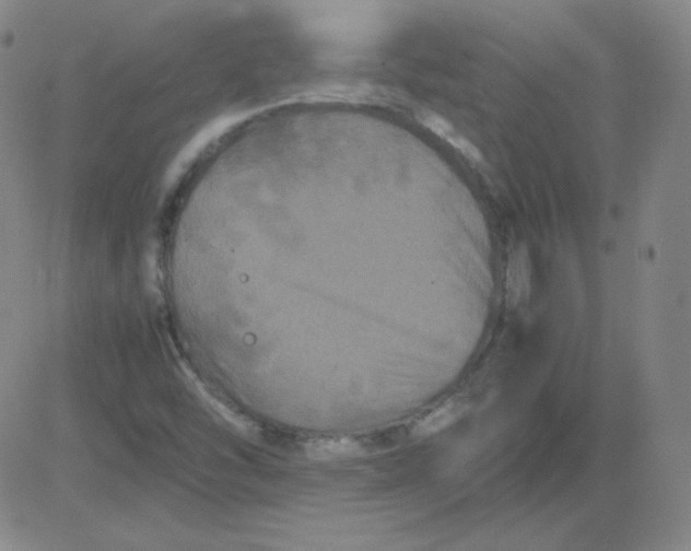 X0000081491454200702021911