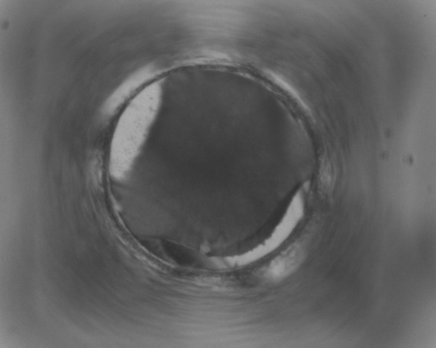 X0000081491455200702021911