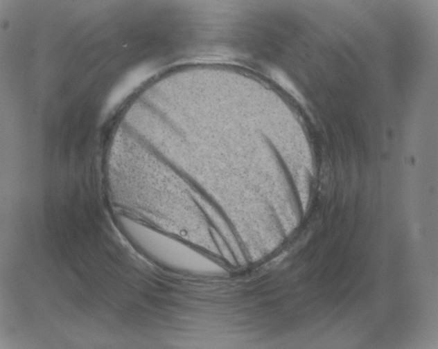 X0000081491456200702021911