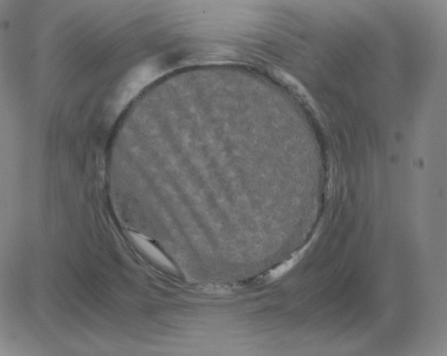 X0000081491457200702021911